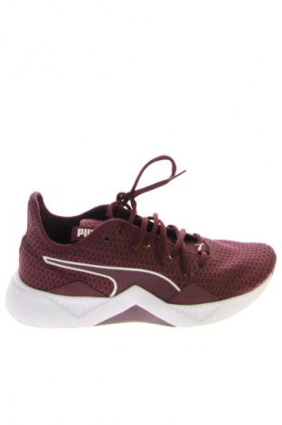Herrenschuhe PUMA, Größe 40, Farbe Rot, Preis € 36,95