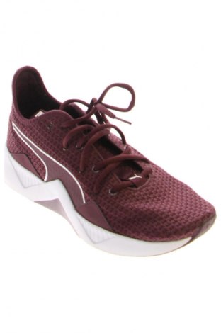 Herrenschuhe PUMA, Größe 40, Farbe Rot, Preis € 36,95