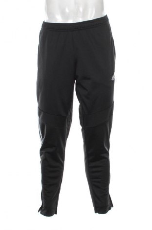 Herren Sporthose Adidas, Größe L, Farbe Schwarz, Preis € 33,99