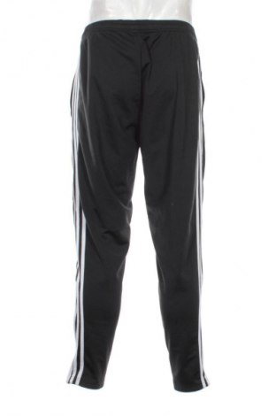 Herren Sporthose Adidas, Größe L, Farbe Schwarz, Preis € 33,99