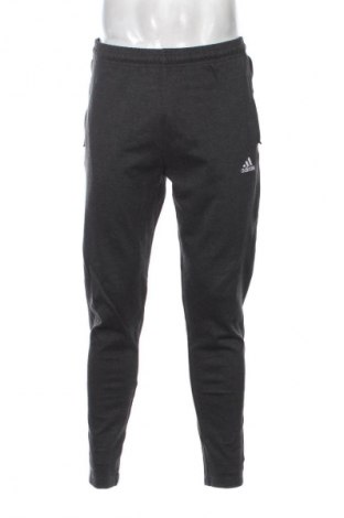 Herren Sporthose Adidas, Größe L, Farbe Grau, Preis € 33,99