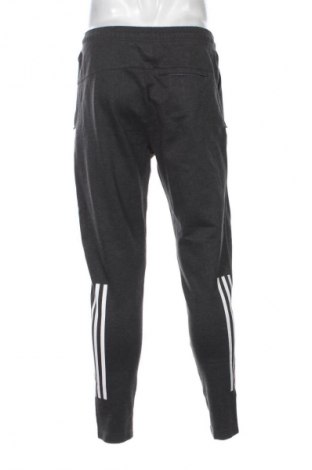 Herren Sporthose Adidas, Größe L, Farbe Grau, Preis € 33,99