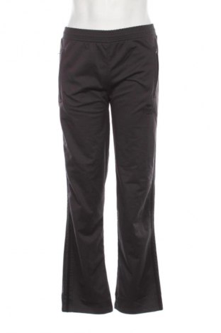 Herren Sporthose Lonsdale, Größe S, Farbe Grau, Preis 8,99 €