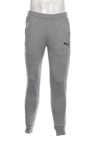 Herren Sporthose PUMA, Größe M, Farbe Grau, Preis 33,99 €