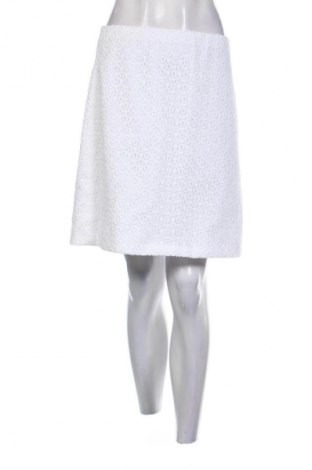 Fustă Ann Taylor, Mărime S, Culoare Alb, Preț 144,24 Lei
