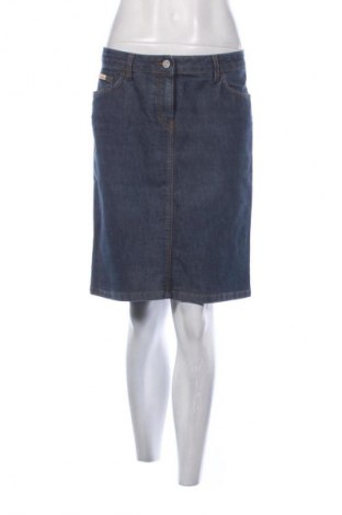 Sukně Calvin Klein, Velikost XL, Barva Modrá, Cena  1 380,00 Kč
