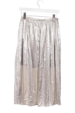 Fustă H&M, Mărime XS, Culoare Argintiu, Preț 61,00 Lei