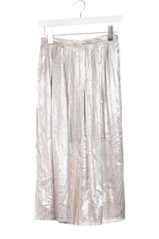 Fustă H&M, Mărime XS, Culoare Argintiu, Preț 61,00 Lei