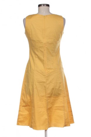 Kleid Andrews, Größe XL, Farbe Mehrfarbig, Preis € 34,92