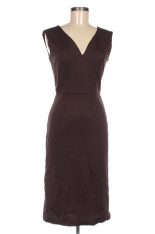 Kleid Calvin Klein, Größe L, Farbe Braun, Preis € 62,98