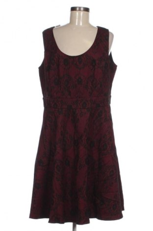 Kleid City Chic, Größe M, Farbe Mehrfarbig, Preis € 20,99