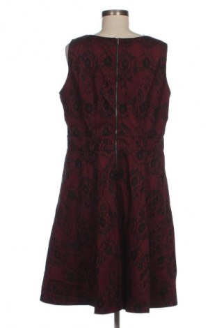 Kleid City Chic, Größe M, Farbe Mehrfarbig, Preis € 20,99