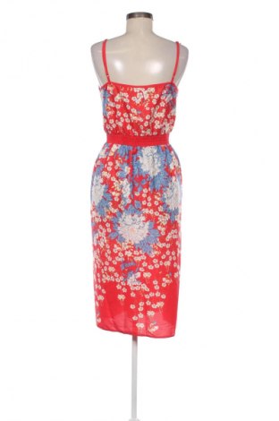 Ruha Dorothy Perkins, Méret L, Szín Sokszínű, Ár 5 400 Ft