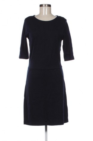 Kleid Filippa K, Größe L, Farbe Blau, Preis 70,99 €