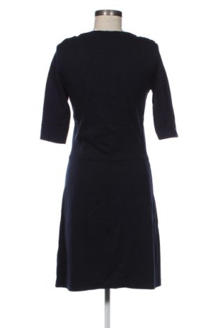 Kleid Filippa K, Größe L, Farbe Blau, Preis 70,99 €