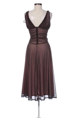 Rochie Laura Scott, Mărime XS, Culoare Maro, Preț 152,63 Lei