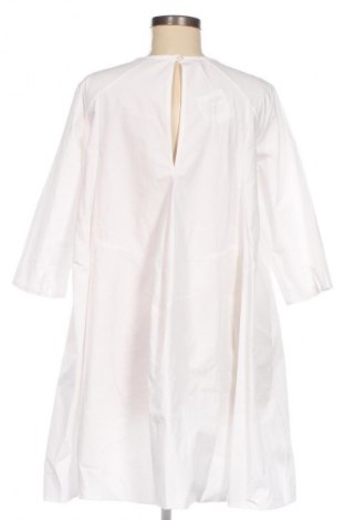 Kleid Made In Italy, Größe L, Farbe Weiß, Preis 14,77 €