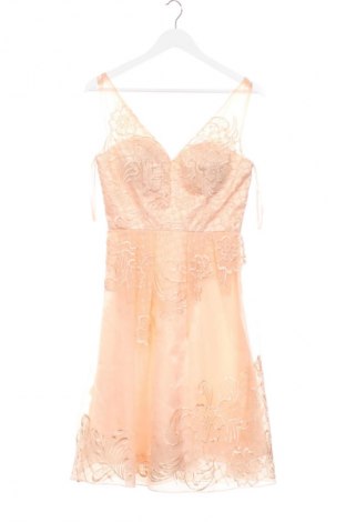 Kleid Niente, Größe XS, Farbe Rosa, Preis 31,99 €