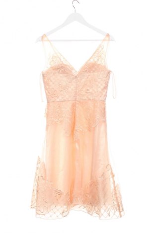 Kleid Niente, Größe XS, Farbe Rosa, Preis 31,99 €
