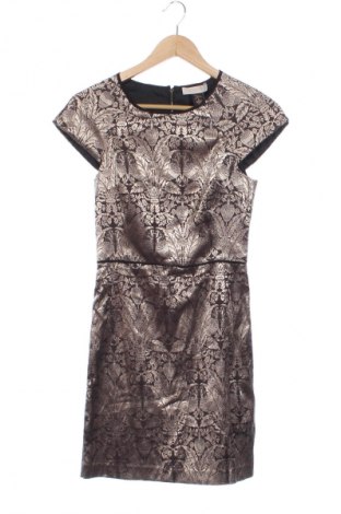 Kleid Oasis, Größe XS, Farbe Mehrfarbig, Preis 24,55 €