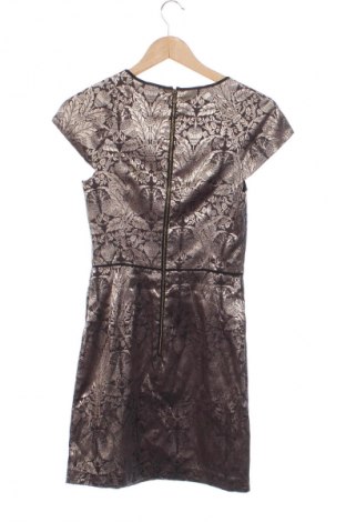 Kleid Oasis, Größe XS, Farbe Mehrfarbig, Preis 24,55 €