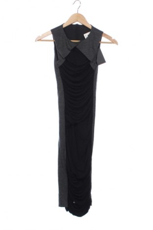 Kleid Pinko, Größe XS, Farbe Mehrfarbig, Preis € 152,99