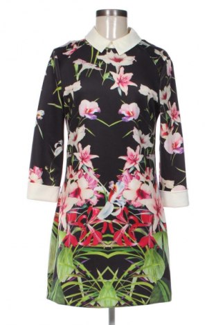 Kleid Ted Baker, Größe L, Farbe Mehrfarbig, Preis € 80,31
