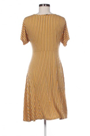 Φόρεμα The Collection by Debenhams, Μέγεθος M, Χρώμα Πολύχρωμο, Τιμή 15,58 €