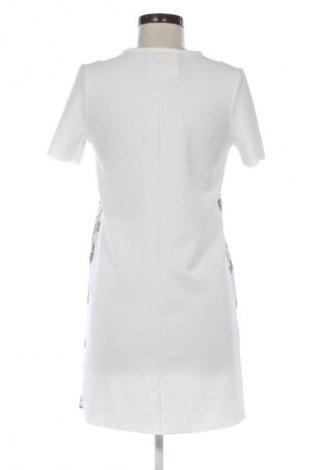 Kleid Zara, Größe S, Farbe Mehrfarbig, Preis 13,80 €