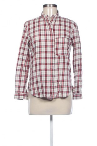 Kleid Zara Trafaluc, Größe M, Farbe Mehrfarbig, Preis € 17,39