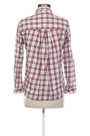 Kleid Zara Trafaluc, Größe M, Farbe Mehrfarbig, Preis € 17,39