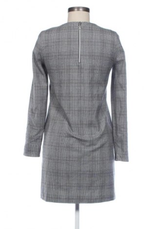 Kleid Zara Trafaluc, Größe S, Farbe Mehrfarbig, Preis € 28,04