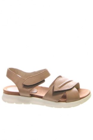 Sandalen Gracia, Größe 36, Farbe Braun, Preis € 20,97