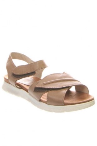 Sandalen Gracia, Größe 36, Farbe Braun, Preis € 20,97
