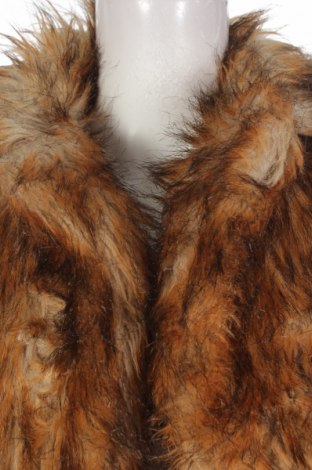 Дамско палто H&M, Размер XS, Цвят Кафяв, Цена 25,50 лв.
