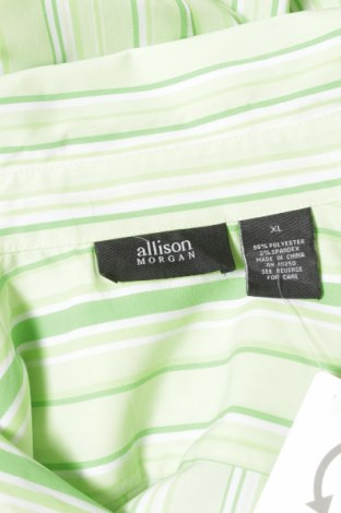 Dámska košeľa  Allison Morgan, Veľkosť XL, Farba Zelená, Cena  16,44 €