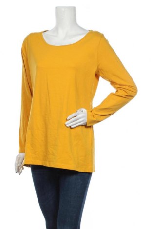 Damen Shirt Zeeman, Größe XL, Farbe Gelb, 95% Baumwolle, 5% Elastan, Preis 18,09 €