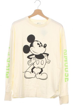 Детска блуза H&M, Размер 15-18y/ 170-176 см, Цвят Екрю, Памук, Цена 19,60 лв.