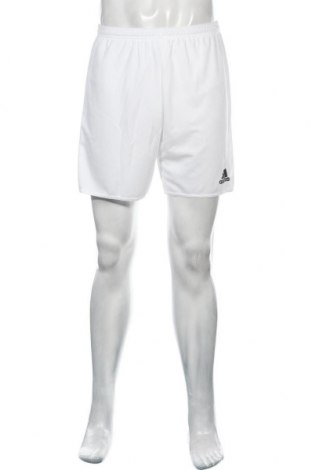 Herren Shorts Adidas, Größe M, Farbe Weiß, Polyester, Preis 41,06 €