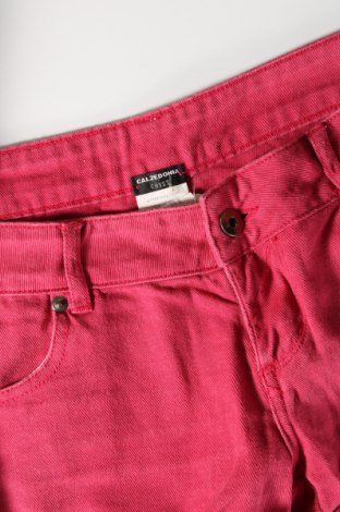 Damen Shorts Calzedonia, Größe M, Farbe Rosa, Preis 3,99 €