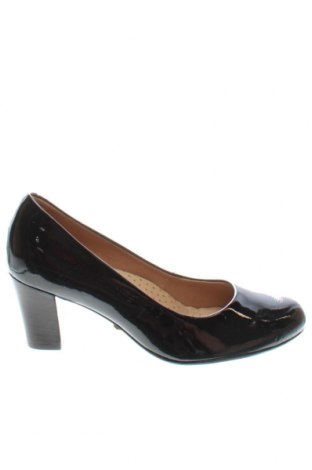 Дамски обувки Hush Puppies, Размер 36, Цвят Черен, Цена 66,00 лв.