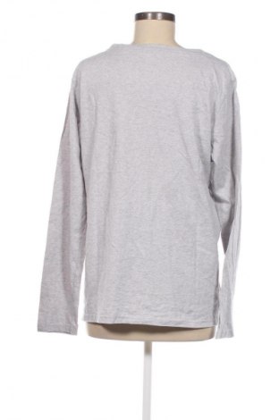 Damen Shirt Berydale, Größe XXL, Farbe Grau, Preis € 4,49