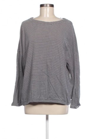 Damen Shirt Cecil, Größe XL, Farbe Mehrfarbig, Preis € 23,99