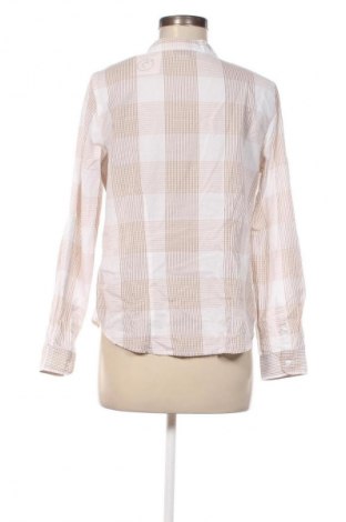 Damen Shirt Collection L, Größe S, Farbe Mehrfarbig, Preis € 4,99