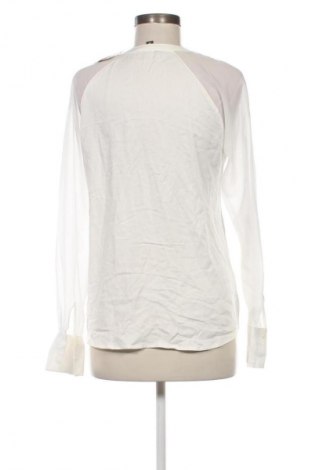 Damen Shirt Comma,, Größe M, Farbe Ecru, Preis € 5,49