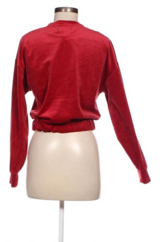 Damen Shirt Flat Top, Größe XS, Farbe Rot, Preis 6,99 €