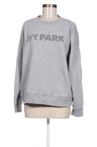 Damen Shirt Ivy Park, Größe XL, Farbe Grau, Preis 33,79 €