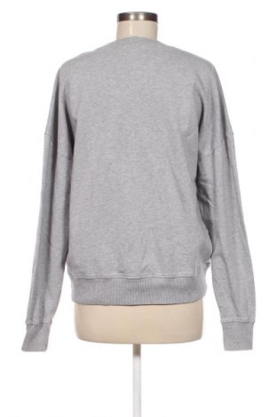 Damen Shirt Ivy Park, Größe M, Farbe Grau, Preis 15,99 €