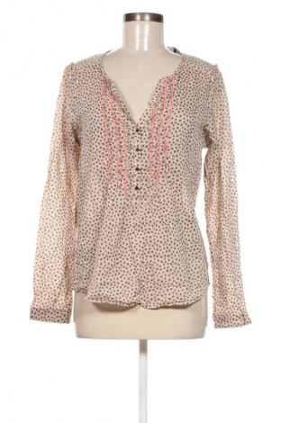 Damen Shirt Maison Scotch, Größe M, Farbe Mehrfarbig, Preis € 7,99