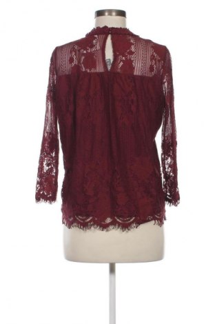 Damen Shirt New York & Company, Größe XS, Farbe Rot, Preis 3,99 €